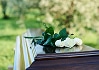 Catastrophic Injury & Wrongful Death Cases